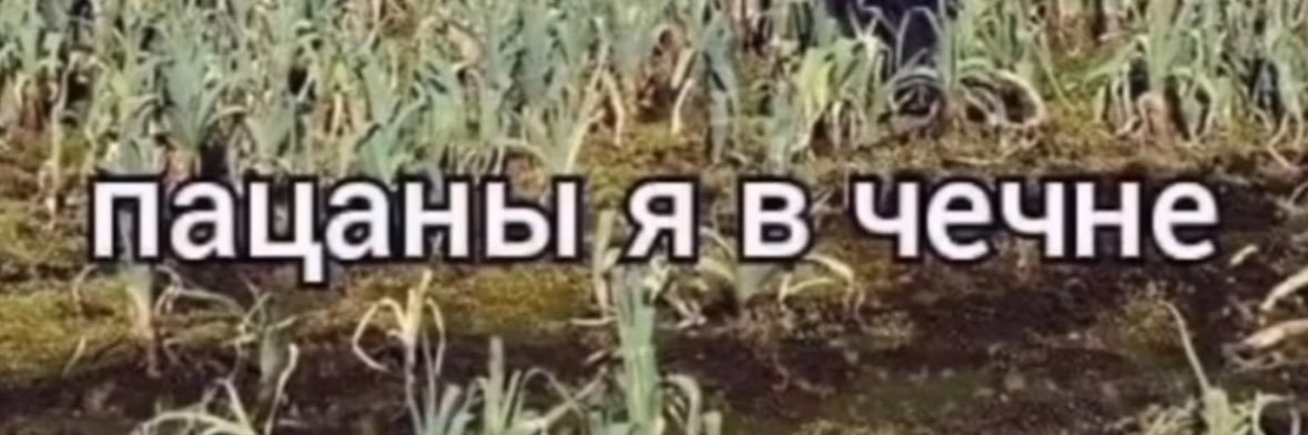 Veeldoo's profile banner image