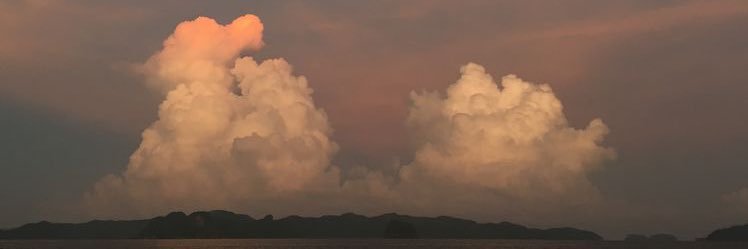 shecorcilles's profile banner image