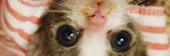 Horripilation Andy 😊🏺💫 banner