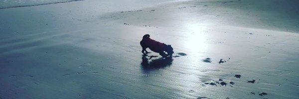 Kimbo_Lee Profile Banner