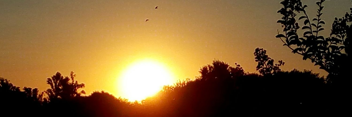 Ing. Jorge Alayon banner