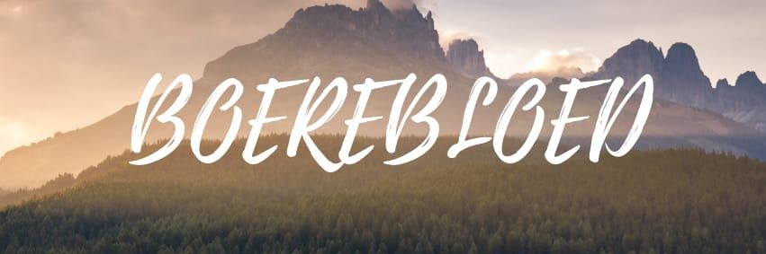 ModerneBoertjie's profile banner image