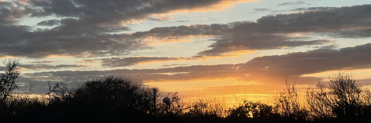 savvela_'s profile banner image