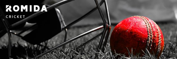RomidaCricket Profile Banner