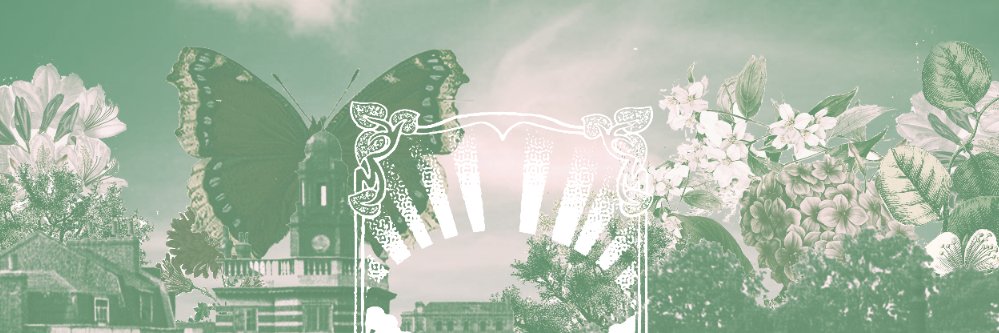 Sun of Camberwell banner