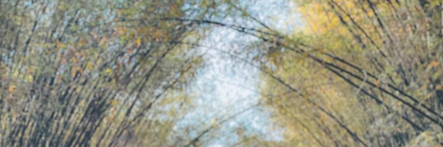 KD75463250's profile banner image
