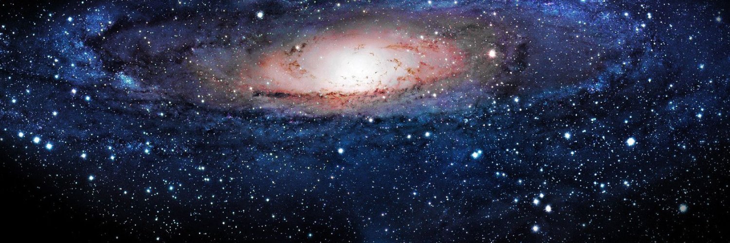 Palmer 🇺🇦 🇵🇱 banner