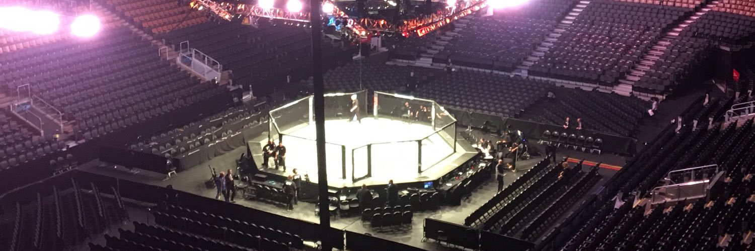 Late Stoppage MMA banner