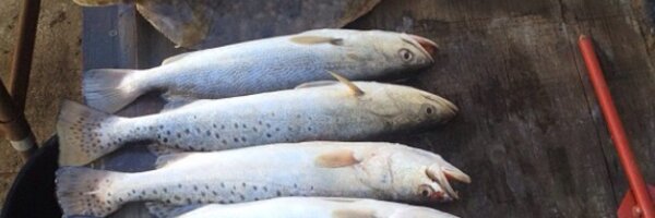 Tcock23 Profile Banner