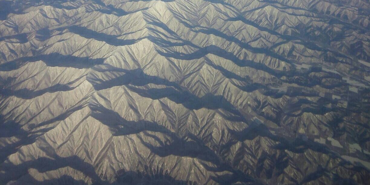 道東フェッチ banner