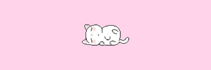 Camelia 🤍 banner