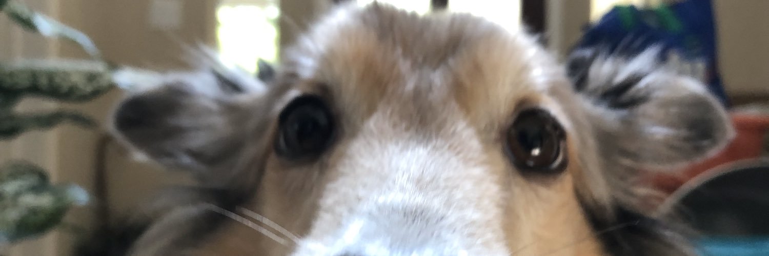 mdl618's profile banner image