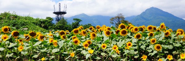 rmc_km Profile Banner