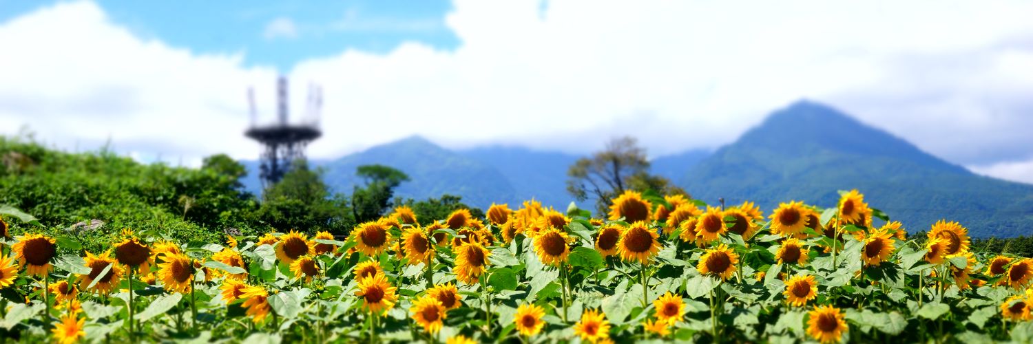 rmc_km's profile banner image
