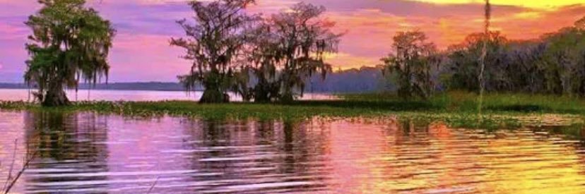 David Gonzalez banner