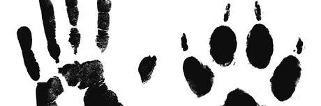 RasLycan's profile banner image