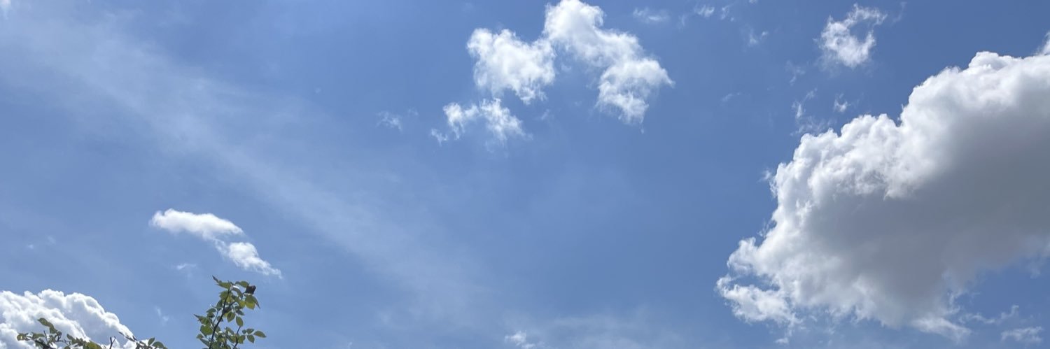 araaraceli6's profile banner image