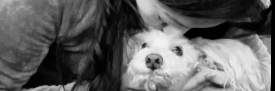 jositamaya's profile banner image