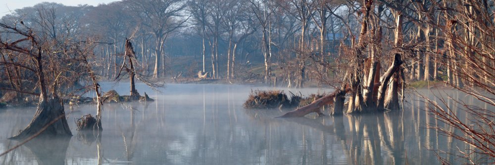 WimberleyView's profile banner image
