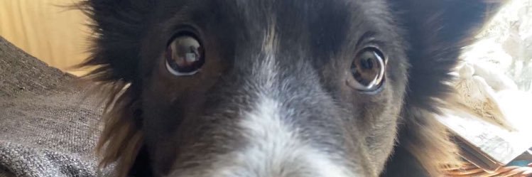 FinleyGoodhew's profile banner image