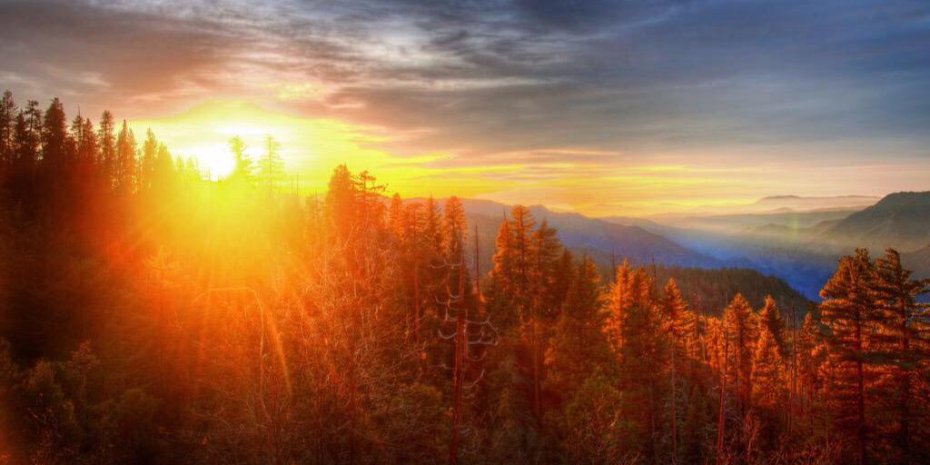 HumanRising's profile banner image