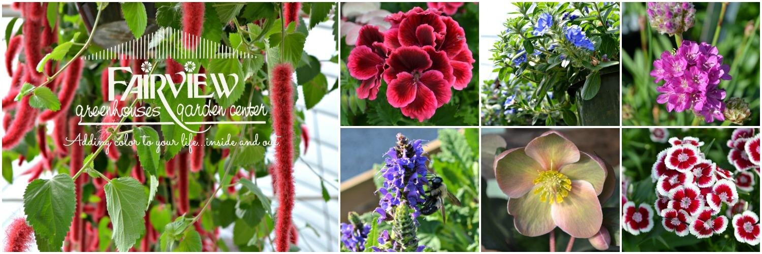 fairviewgardenc's profile banner image