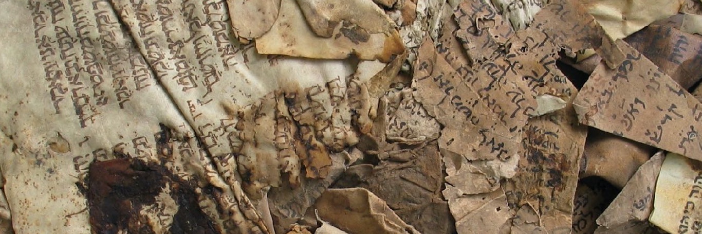m_schmierer's profile banner image