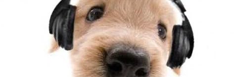 Kalebwwwhoom's profile banner image