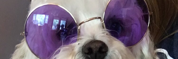 katiemisliv's profile banner image