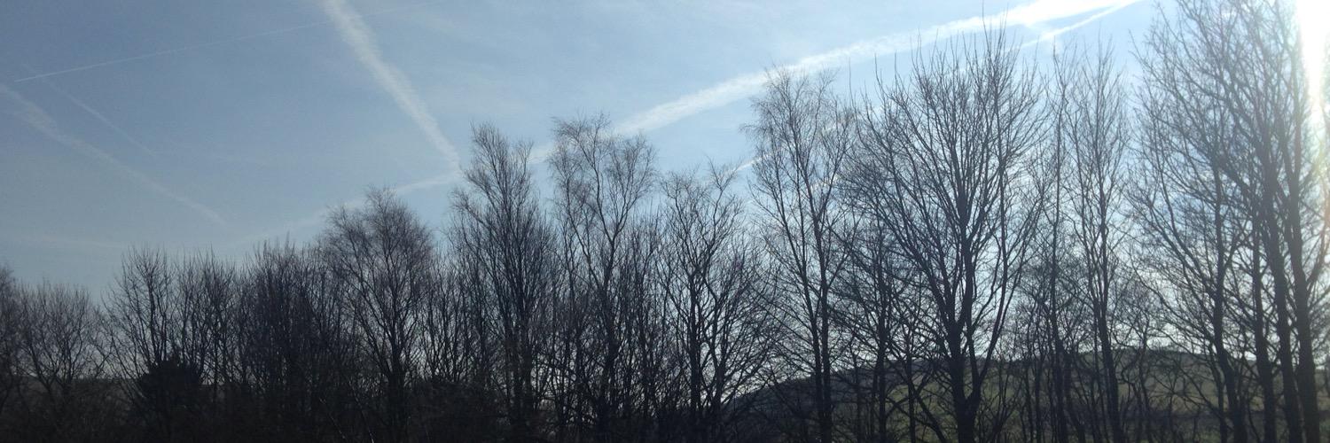 Natalie Liddle banner