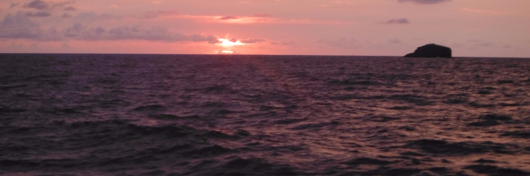 cryss29's profile banner image