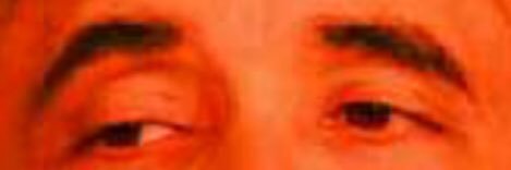 Lavender Gooms banner