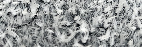 Troodles80 Profile Banner