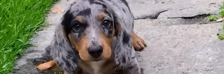 OliveiraMat_'s profile banner image