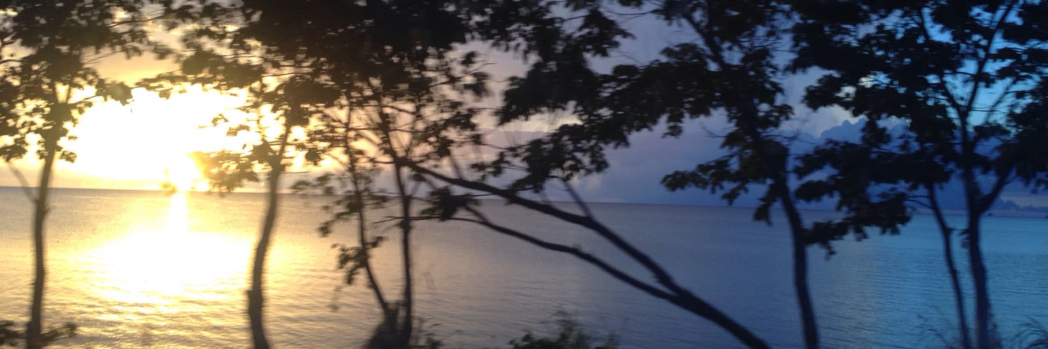 maternalmentalh's profile banner image