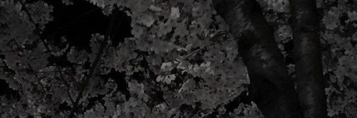 jksartsy's profile banner image