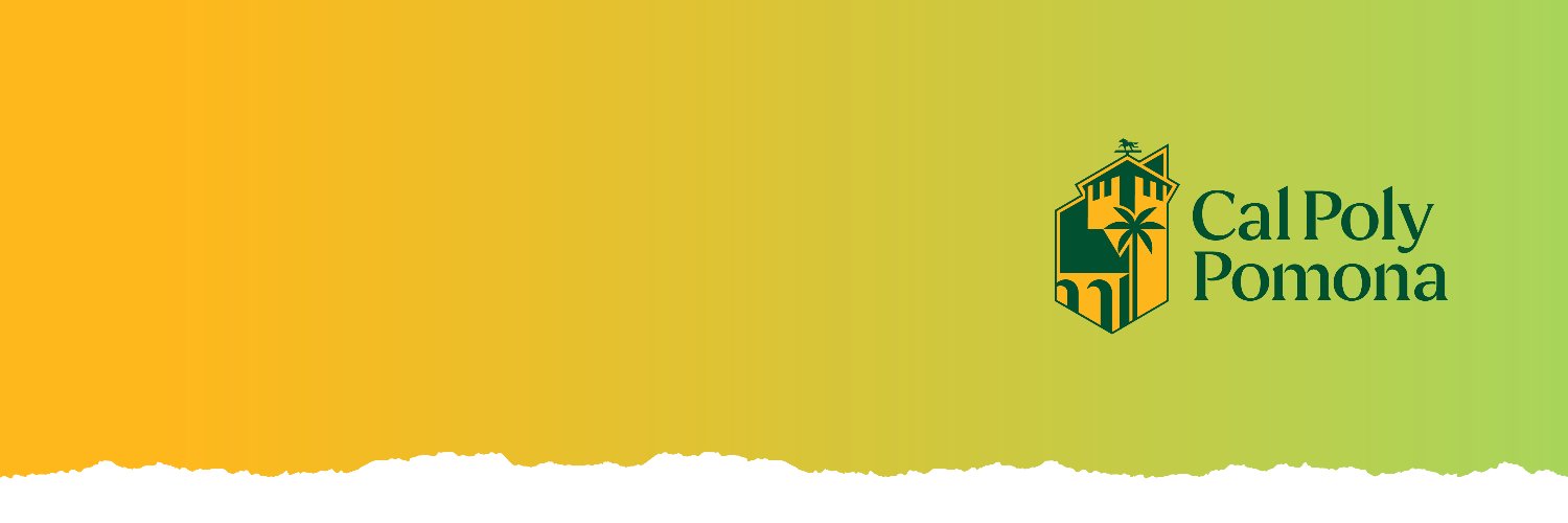 CPP Information Technology banner