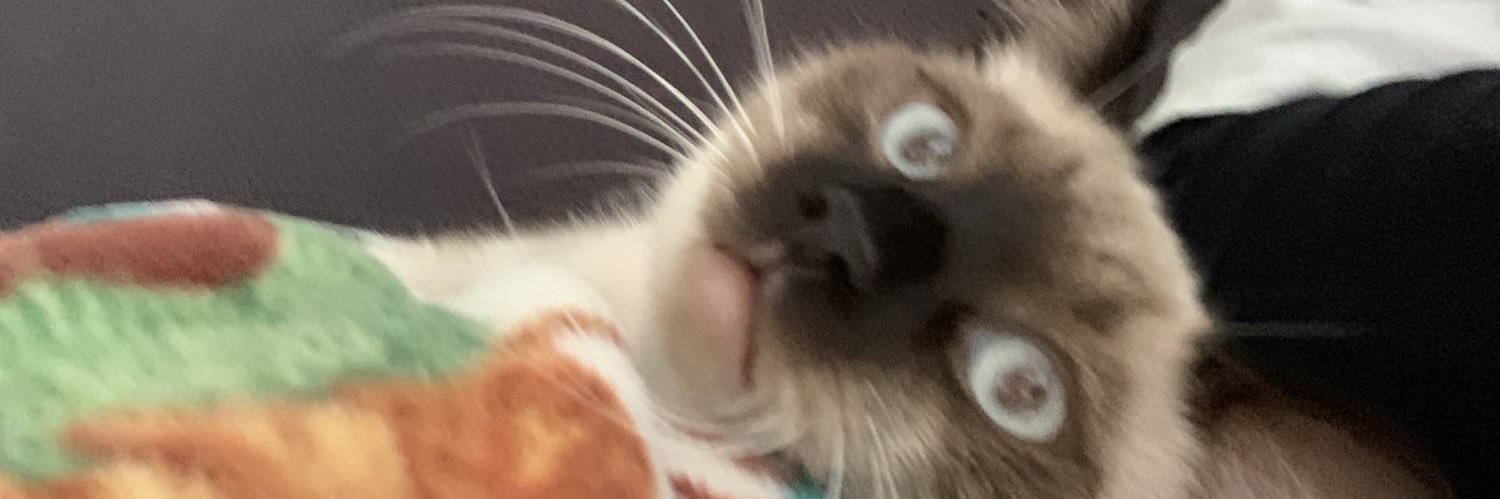 briannanfuchs's profile banner image