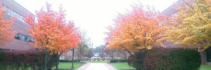ابو سفیان 🇮🇳 banner
