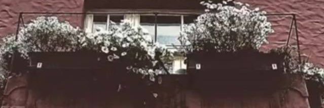b_nasir02's profile banner image