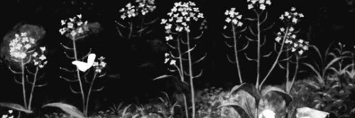 Angie banner
