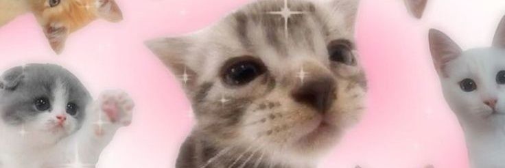 VeXloey's profile banner image