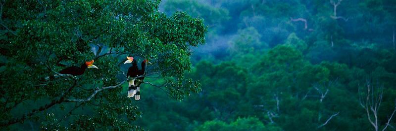 anis_ende's profile banner image