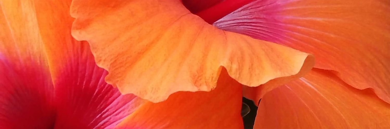 Brit Manuela banner