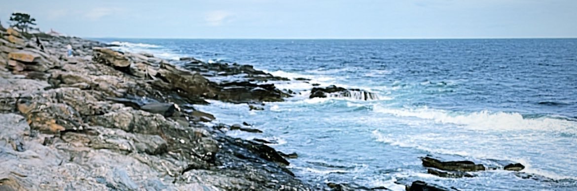 MollyyS_16's profile banner image