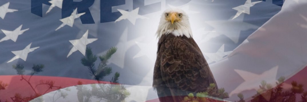 LLSharon04's profile banner image