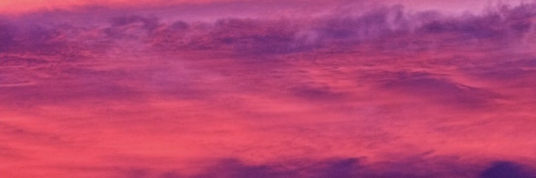 _Lexi_Marie's profile banner image