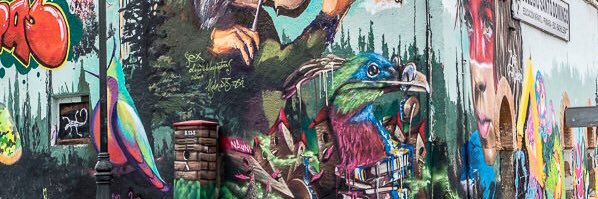 csansal95's profile banner image