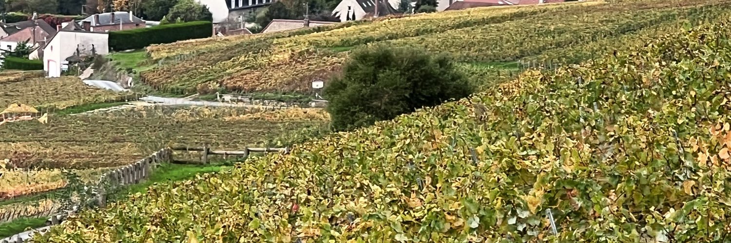 Jonathan Ogden banner