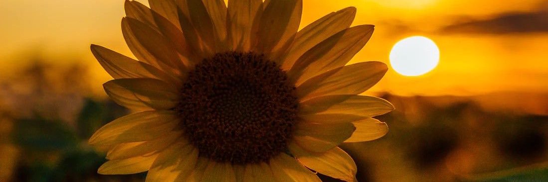Mariajose93cg's profile banner image